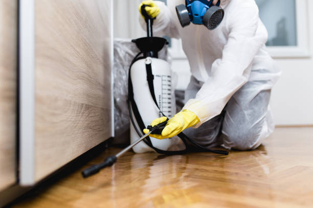 Best Ant Control Services  in Brookings, OR