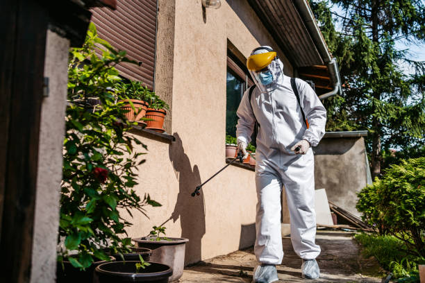 Pest Prevention Services in Brookings, OR