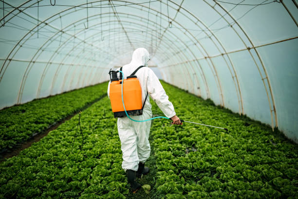 Best Commercial Pest Control Services  in Brookings, OR