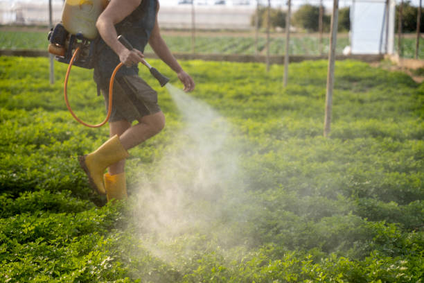 Best Pest Control for Homes  in Brookings, OR