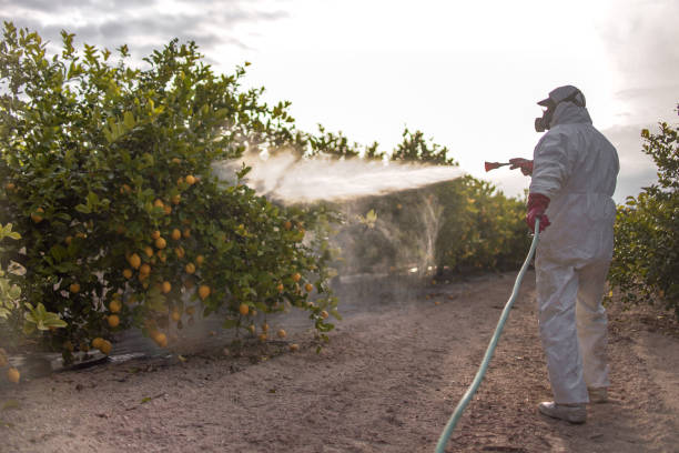 Best Insect Control  in Brookings, OR